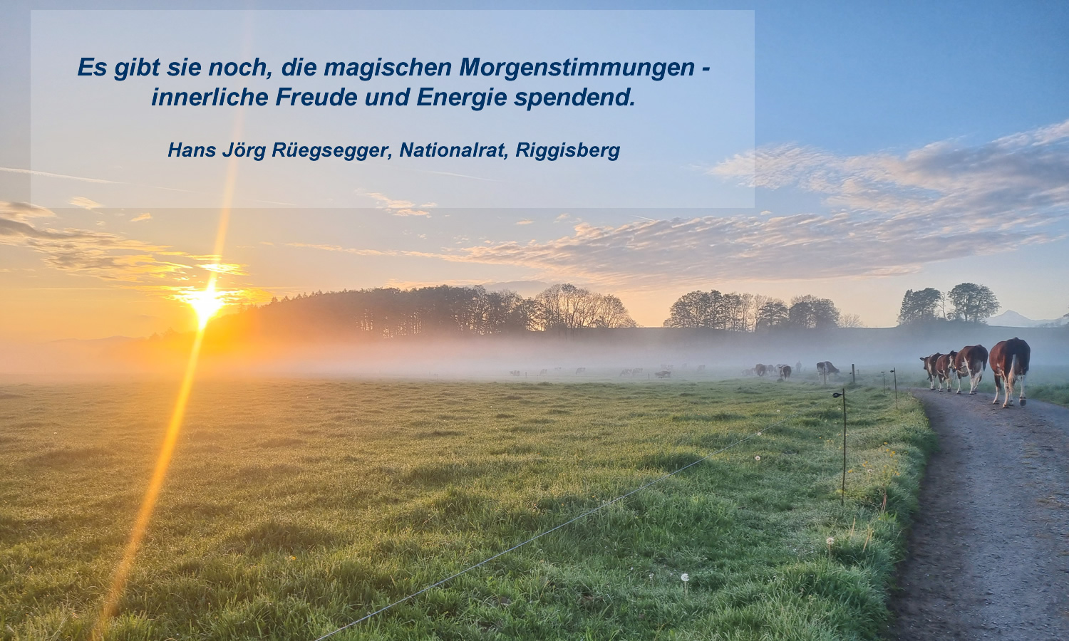 magische_Morgenstimmung_5_25